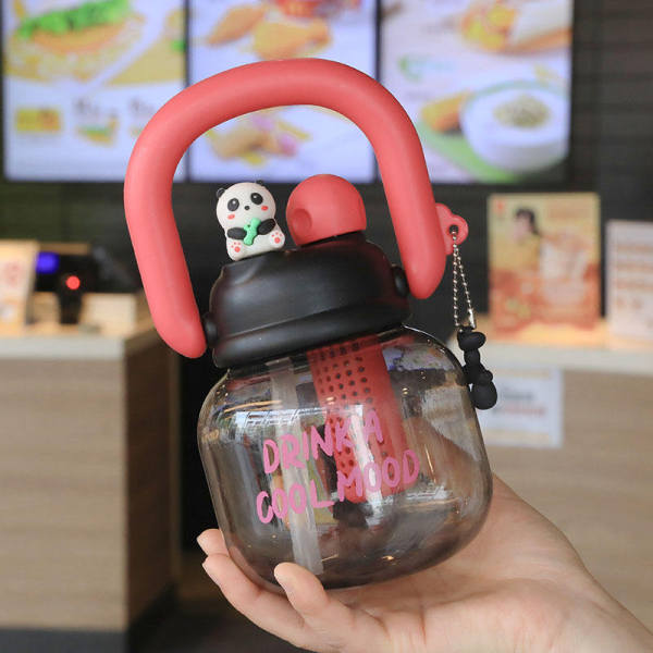 Customizable 800ml Portable Large Capacity Straw Tumbler with Tea/Water Separator