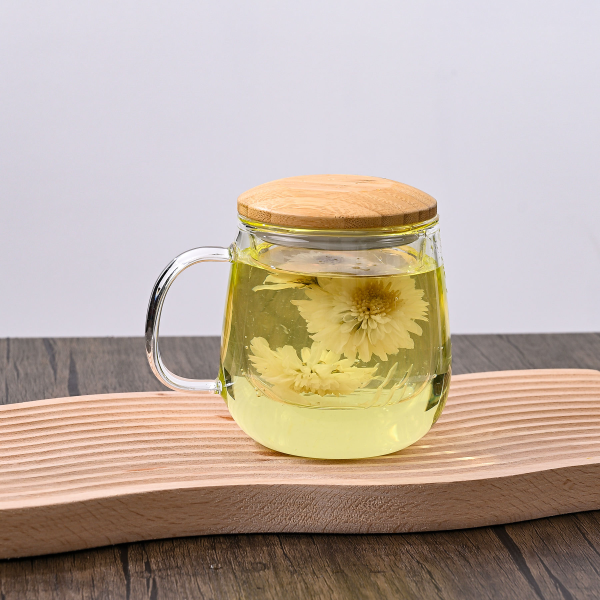Clear Drinking Big Oversize Glass Tumbler Tea Cup with Infuser Handle Strainer Lid