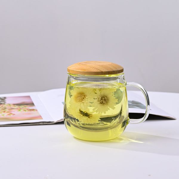 Clear Drinking Big Oversize Glass Tumbler Tea Cup with Infuser Handle Strainer Lid