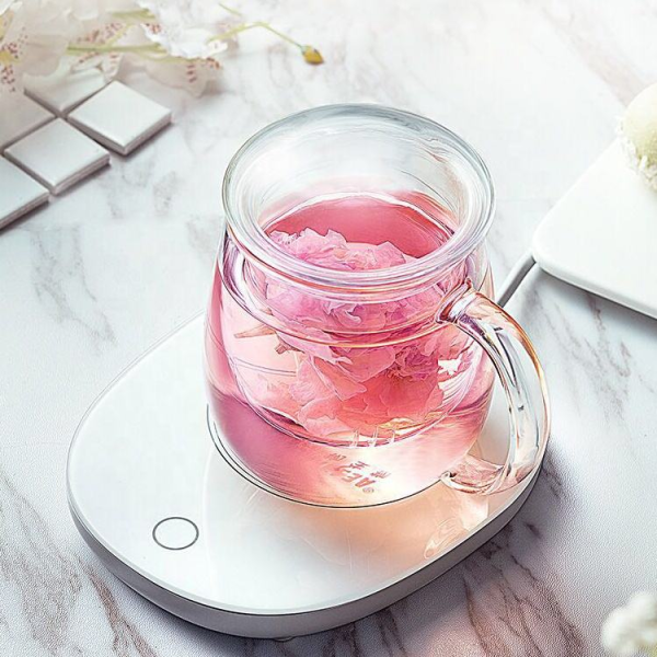 Glass Reusable Double Walled Tea Cup Glass Mug 350 ML With Lid Glass Cover