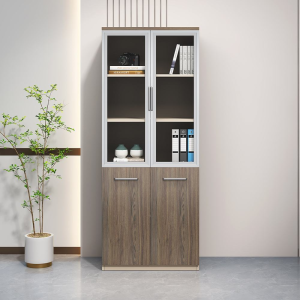 Modern multifunctional modular metal filing cabinet bookcase