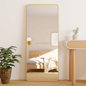 Full Length Mirror Floor Mirror Photo Modern Aluminum Alloy Metal Framed Mirror