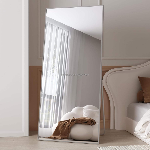 Full Length Mirror Floor Mirror Photo Modern Aluminum Alloy Metal Framed Mirror